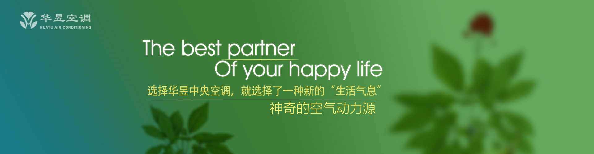 不打自招网